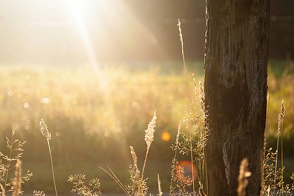 16 мая: какой праздник отмечают в России и мире - свежие новости на Toplenta по теме Россия24