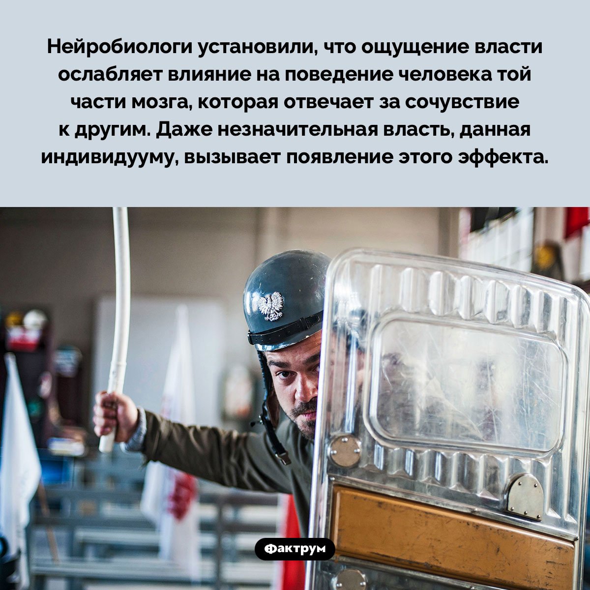 Чувство власти ослабляет в человеке сочувствие к другим - свежие новости на Toplenta по теме Факты в картинках