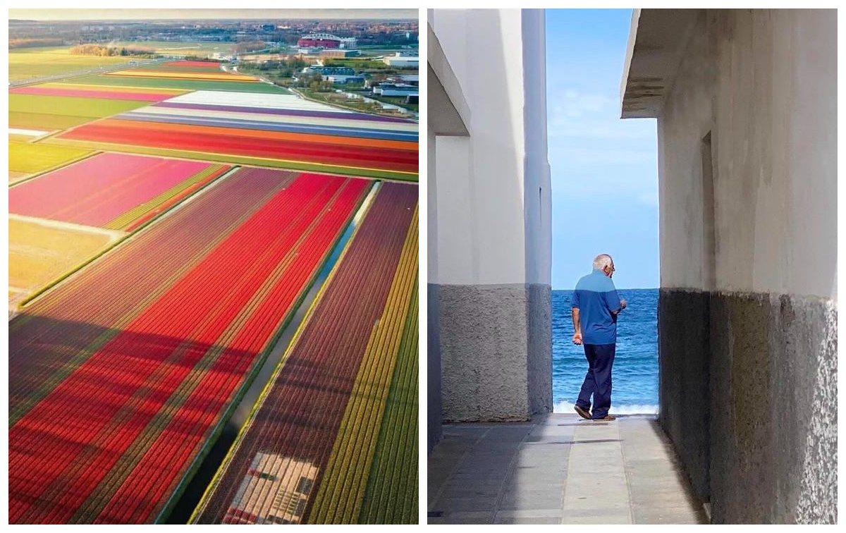 На радость перфекционистам — 22 фото, на которых прекрасно ВСЕ - свежие новости на Toplenta по теме По