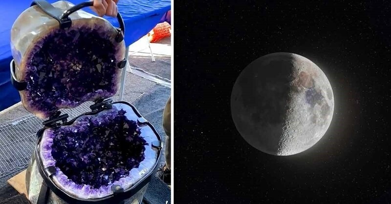 22 необыкновенных фото о нашем необыкновенном мире - свежие новости на Toplenta по теме По