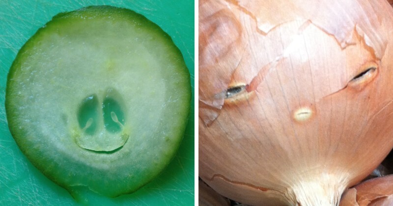 30+ случаев, когда люди смотрели на мир, а он посмотрел на них в ответ - свежие новости на Toplenta