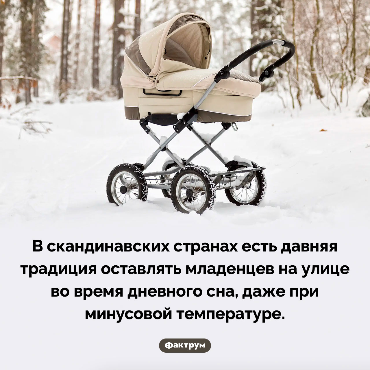 Давняя скандинавская традиция - свежие новости на Toplenta