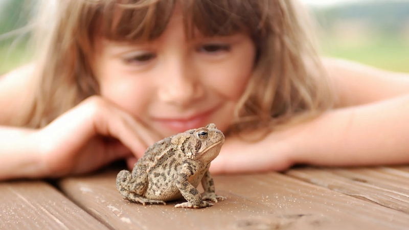 «Попа слипнется» и еще 9 страшилок, которые пугали нас в детстве - свежие новости на Toplenta