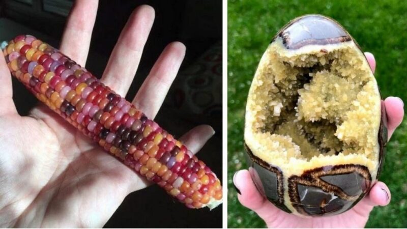 20 офигенных фото, которые надо увидеть хотя бы раз в жизни - свежие новости на Toplenta по теме под