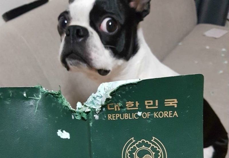 25 человек, которых настигло невезение - свежие новости на Toplenta по теме По