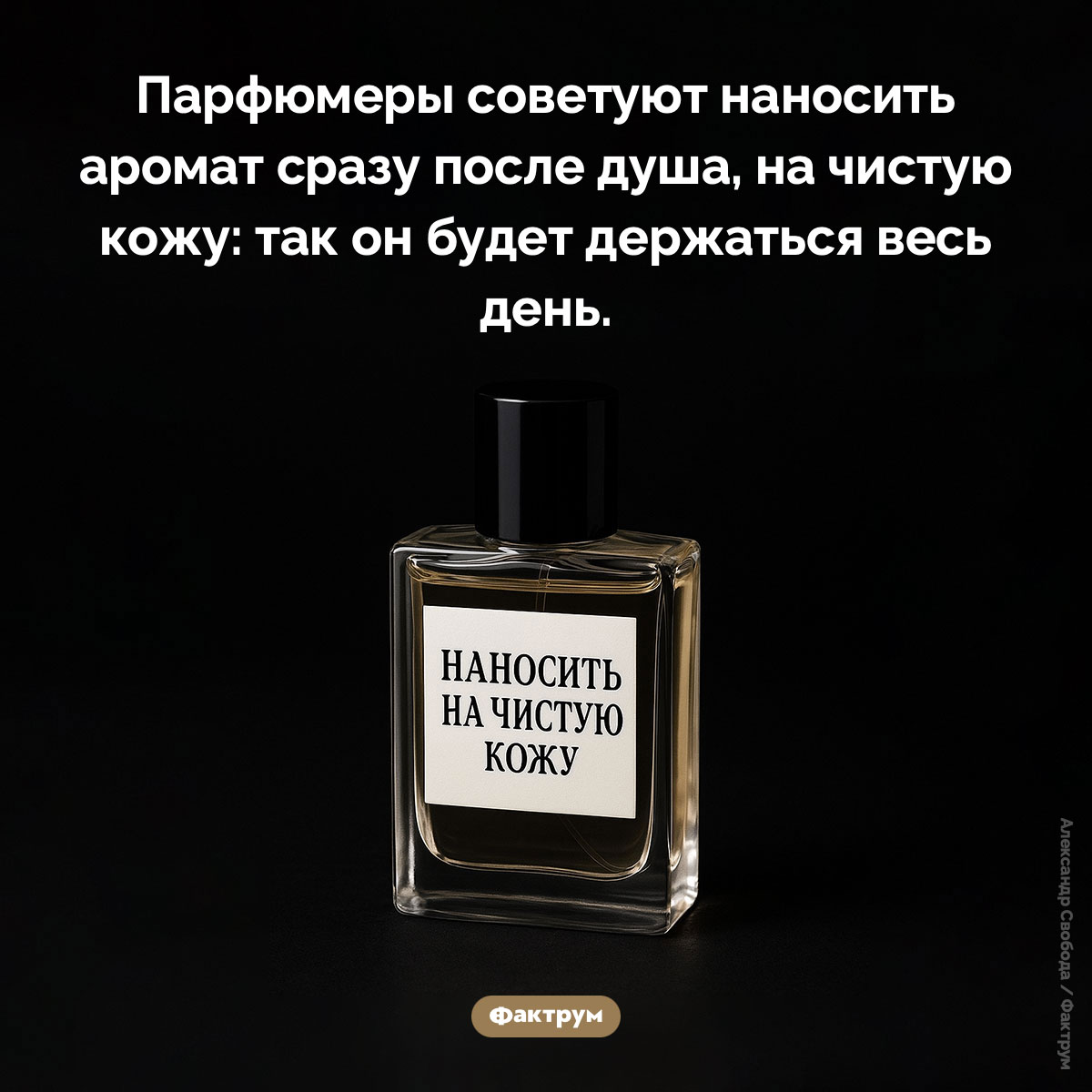Парфюмеры советуют наносить аромат на чистую кожу - свежие новости на Toplenta по теме Факт