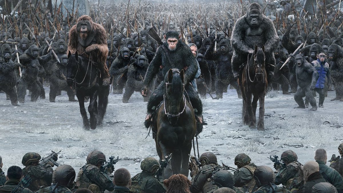 Все как у людей: как два клана шимпанзе устроили 4-летнюю кровавую войну - свежие новости на Toplenta