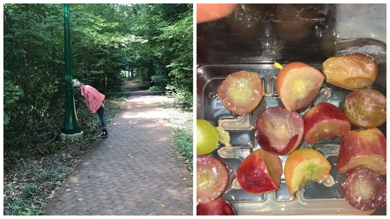 20 смешных ситуаций, когда люди сделали в точности так, как их попросили - свежие новости на Toplenta по теме По