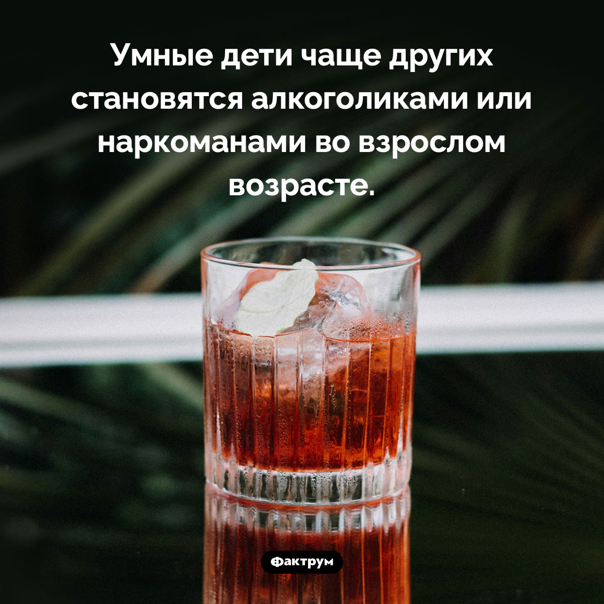 Умные дети и зависимости - похожая новость на Toplenta