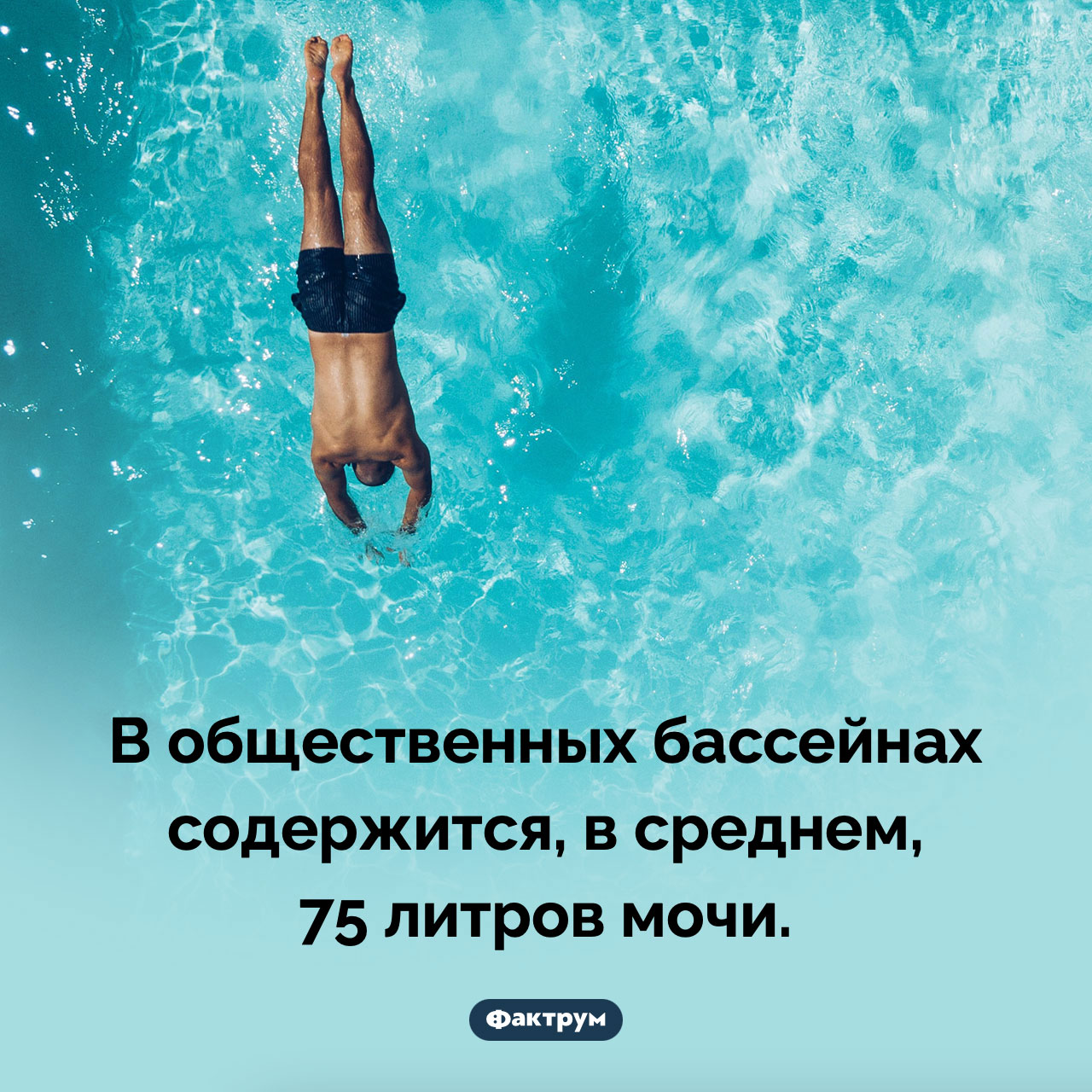 Сколько мочи в общественных бассейнах - свежие новости на Toplenta по теме Факты в картинках