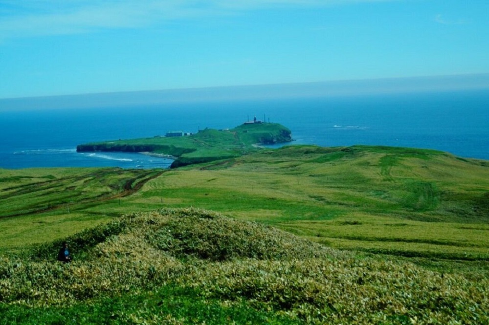 Ужасная должность - свежие новости на Toplenta по теме По