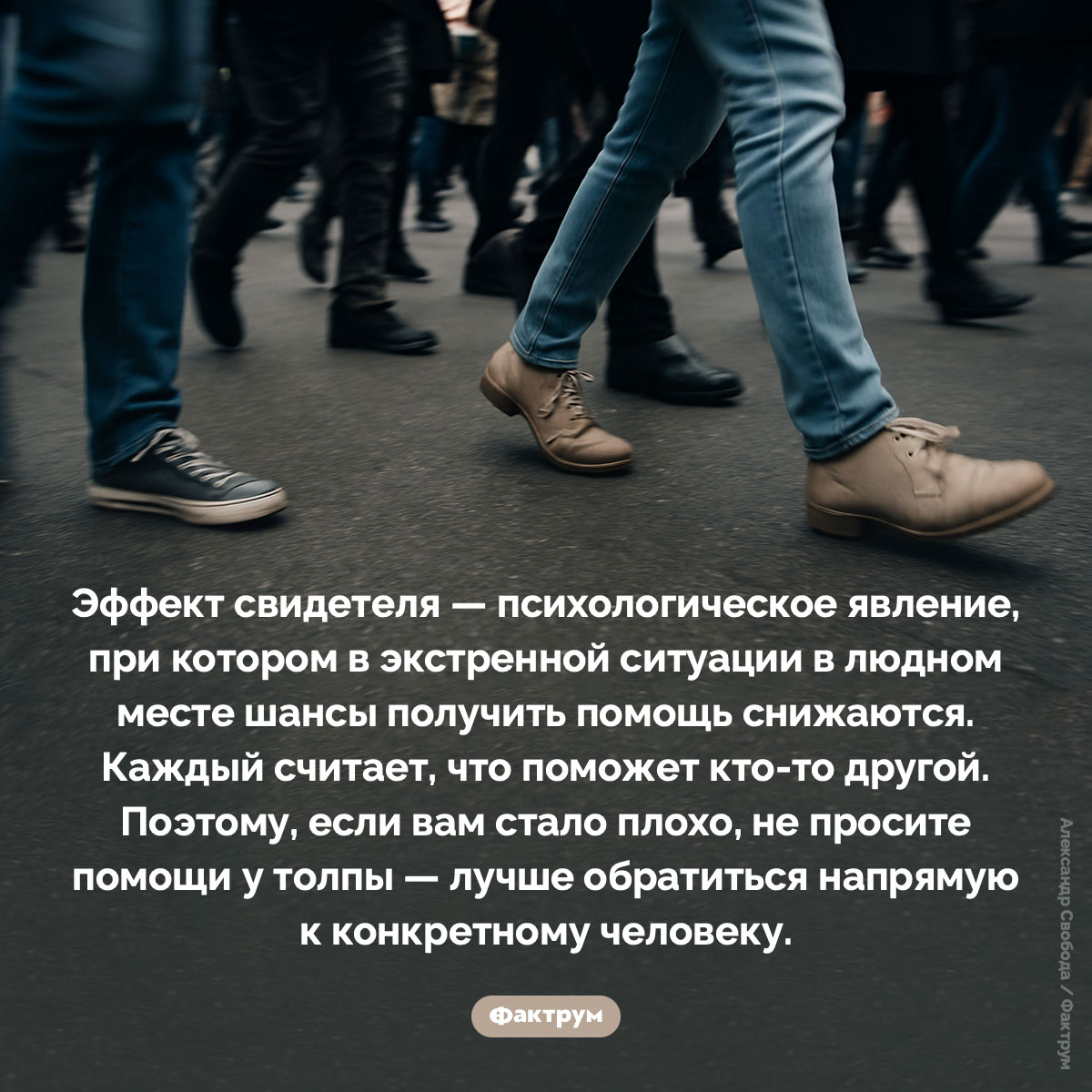 Не просите помощи у толпы - свежие новости на Toplenta по теме Психологи