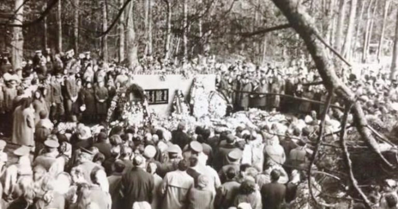 Падение самолета на детский сад: трагедия, о которой молчали 30 лет - свежие новости на Toplenta по теме Союз