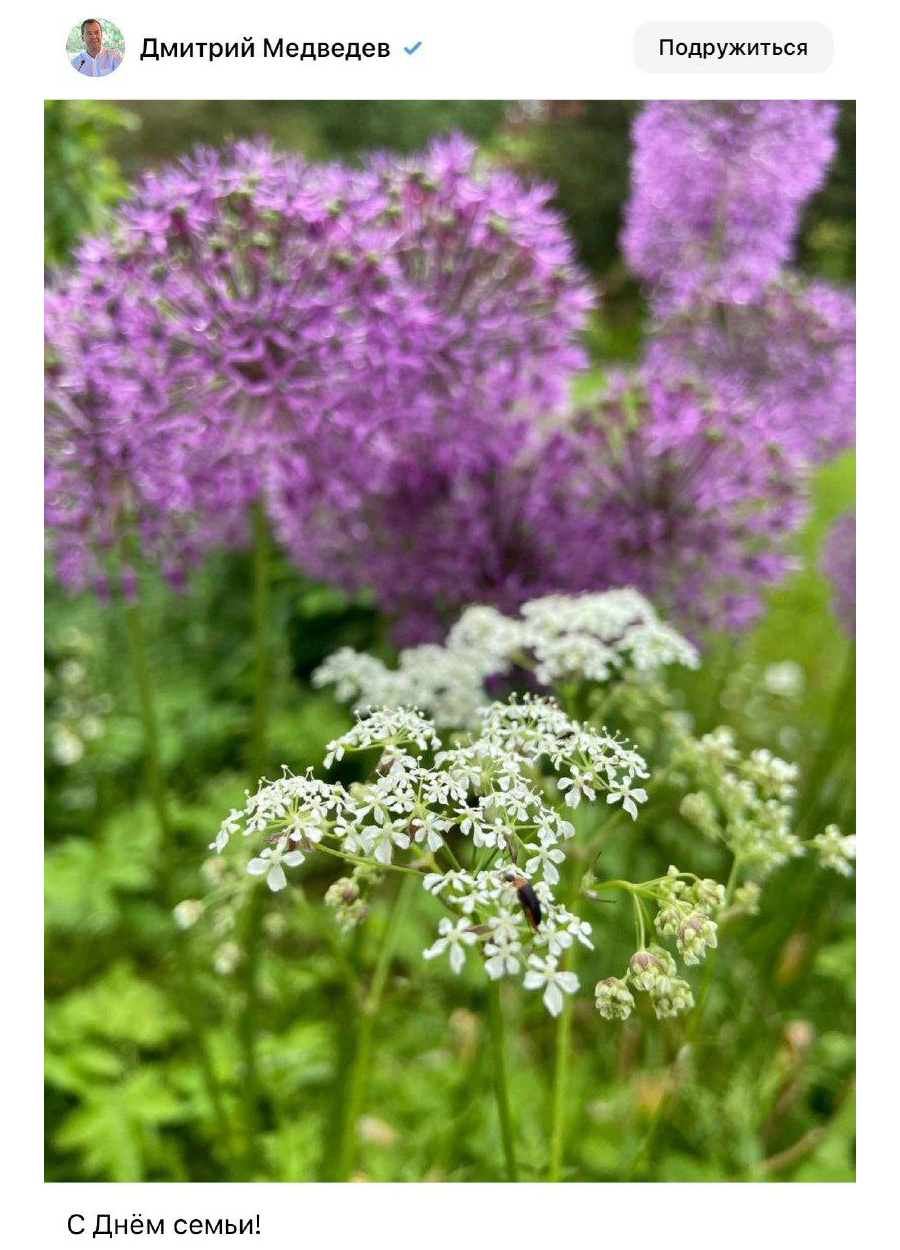 О тяжёлом случае с Медведевым… Что происходит? - свежие новости на Toplenta по теме си