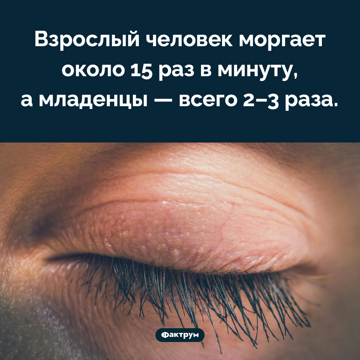 Дети моргают реже, чем взрослые - свежие новости на Toplenta по теме Факты в картинках