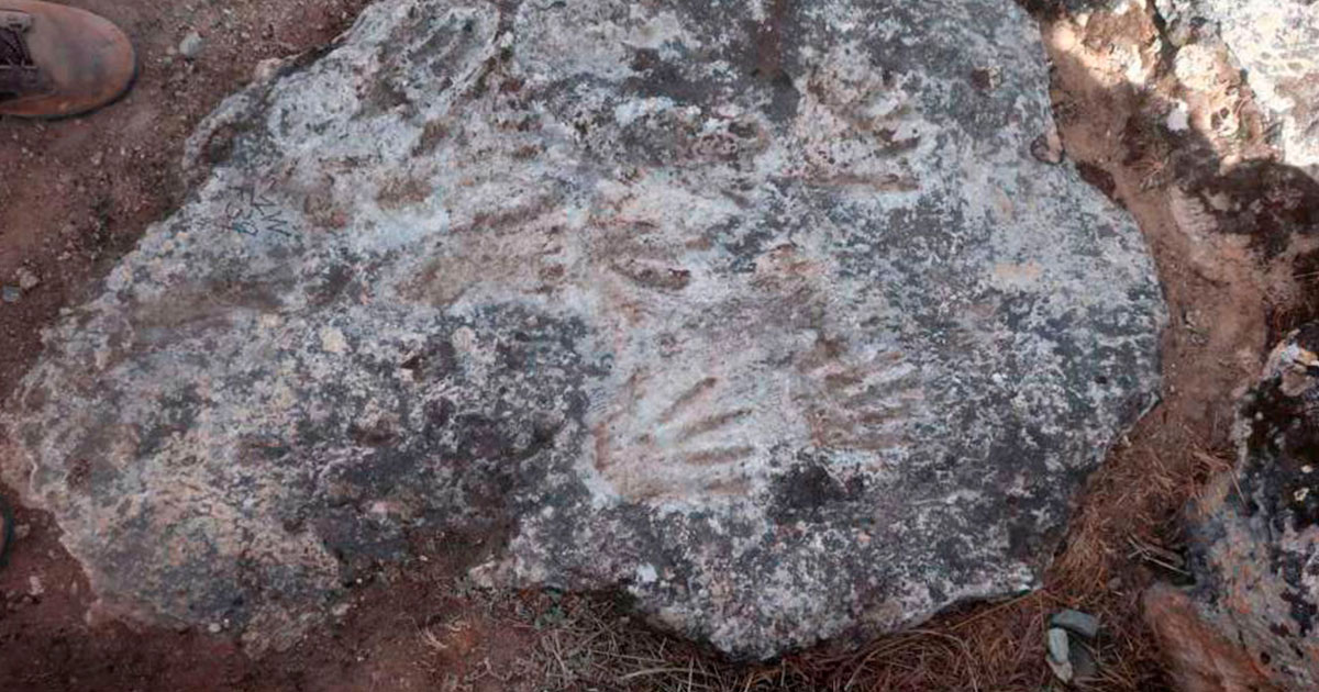 «Эхо» детских игр - свежие новости на Toplenta