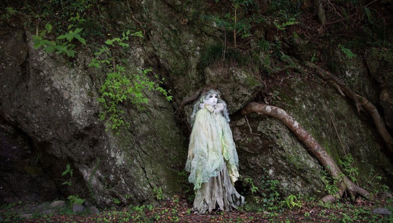 Что скрывает Аокигахара — лес самоубийц в самом сердце Японии - свежие новости на Toplenta