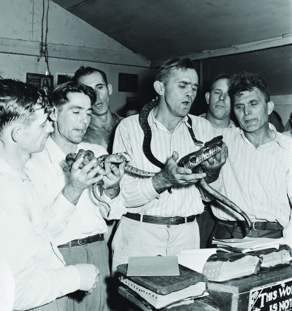 Ритуал со змеями заставляет верующих терять пальцы, а порой убивает их - свежие новости на Toplenta по теме Факт