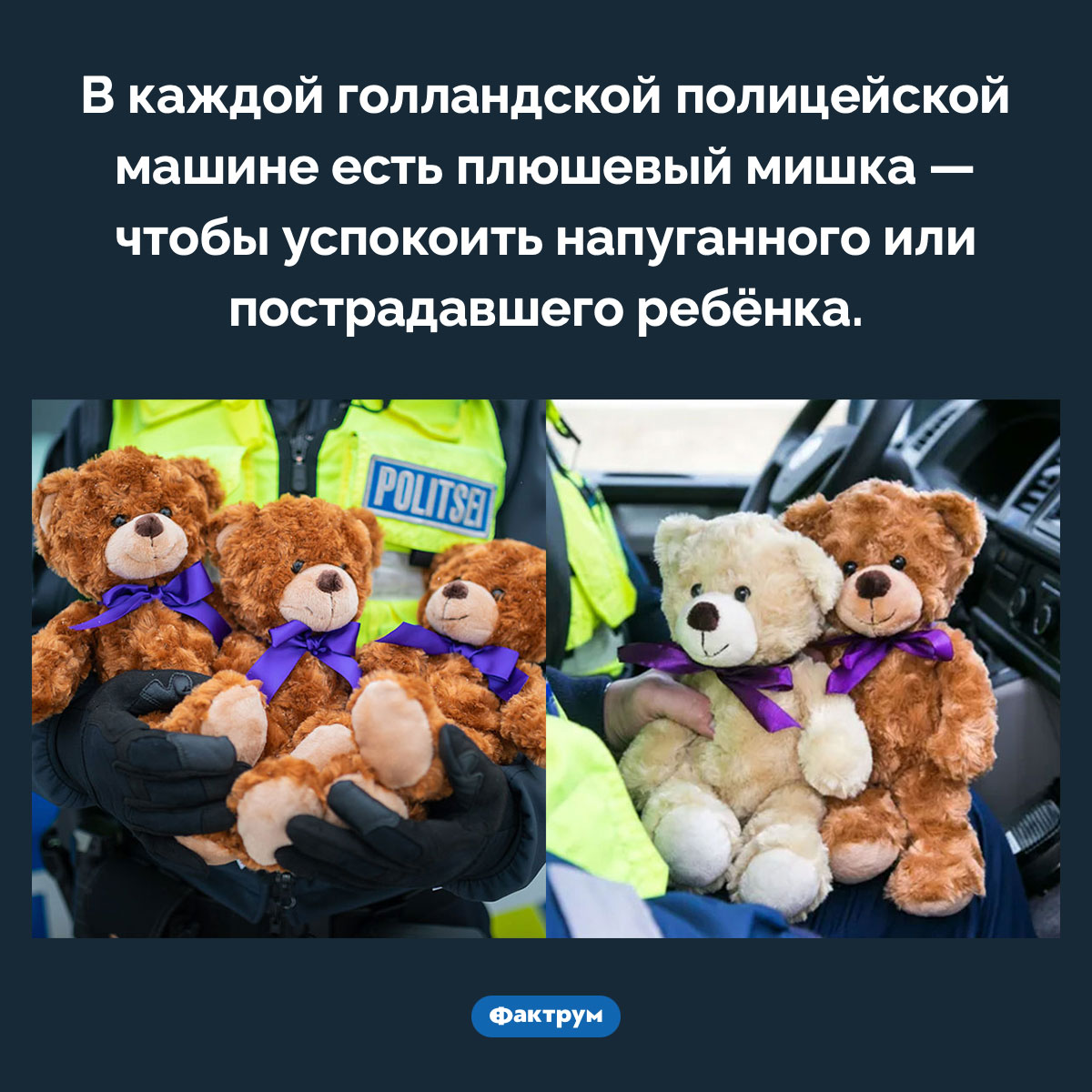 Плюшевый мишка в полицейской машине - свежие новости на Toplenta по теме По