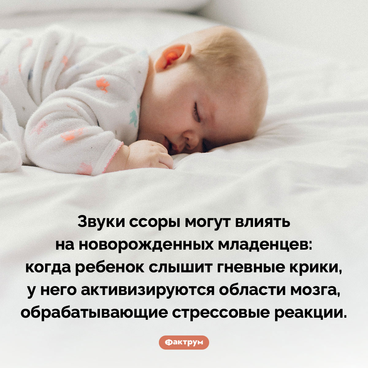 Звуки ссоры могут влиять на новорожденных младенцев - свежие новости на Toplenta