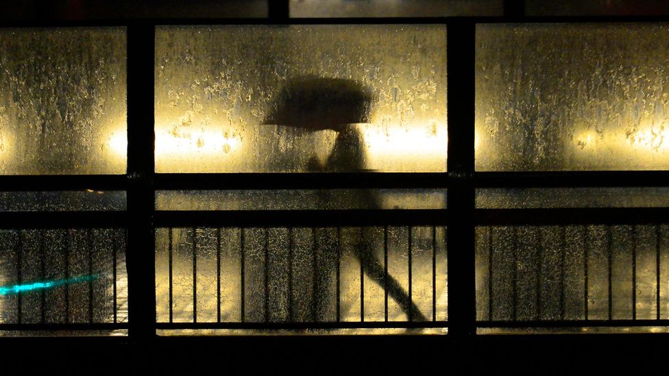 Дзюхацу — люди, решившие пропасть без вести - свежие новости на Toplenta по теме Факт