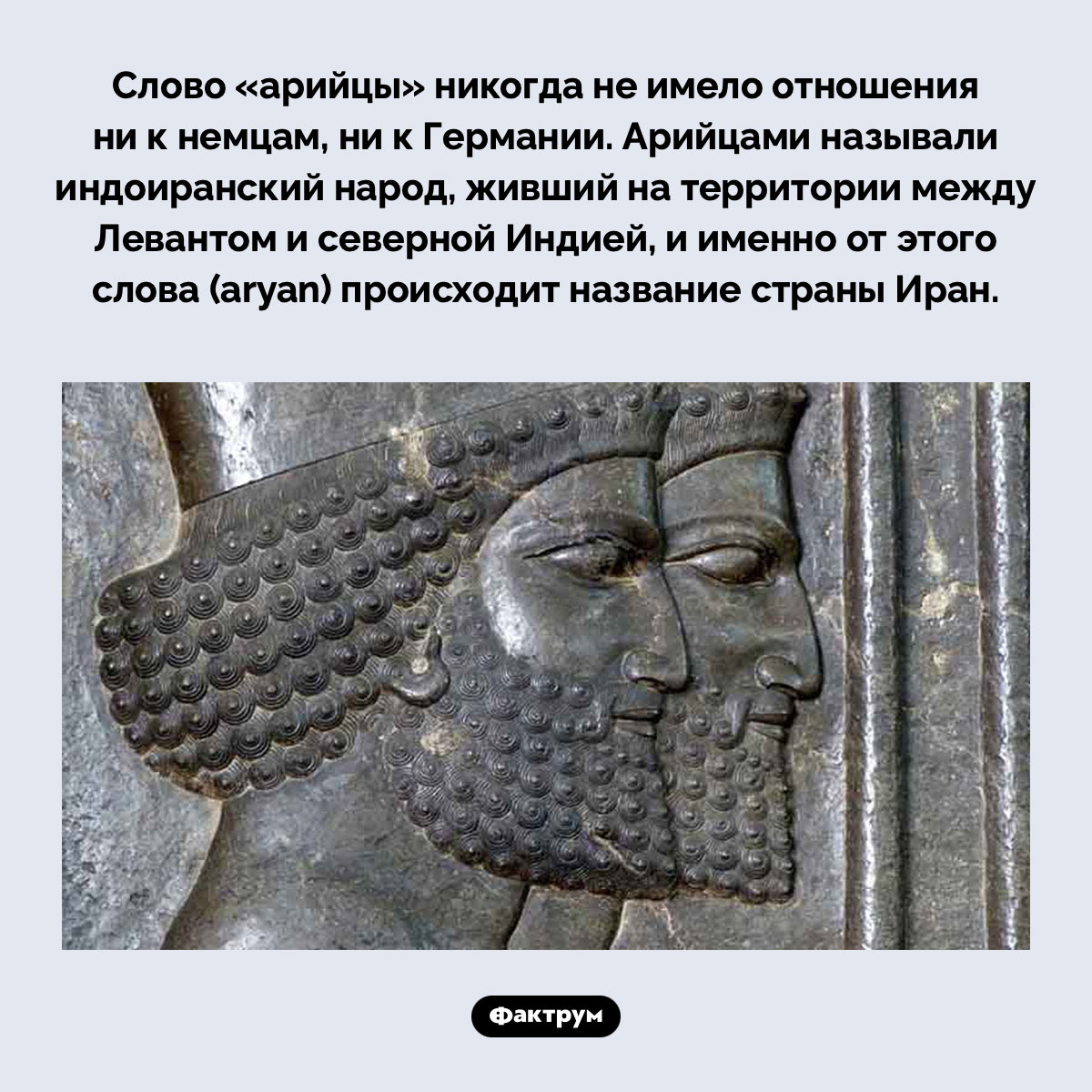 Слово «арийцы» никогда не имело отношения ни к немцам, ни к Германии - свежие новости на Toplenta по теме германия
