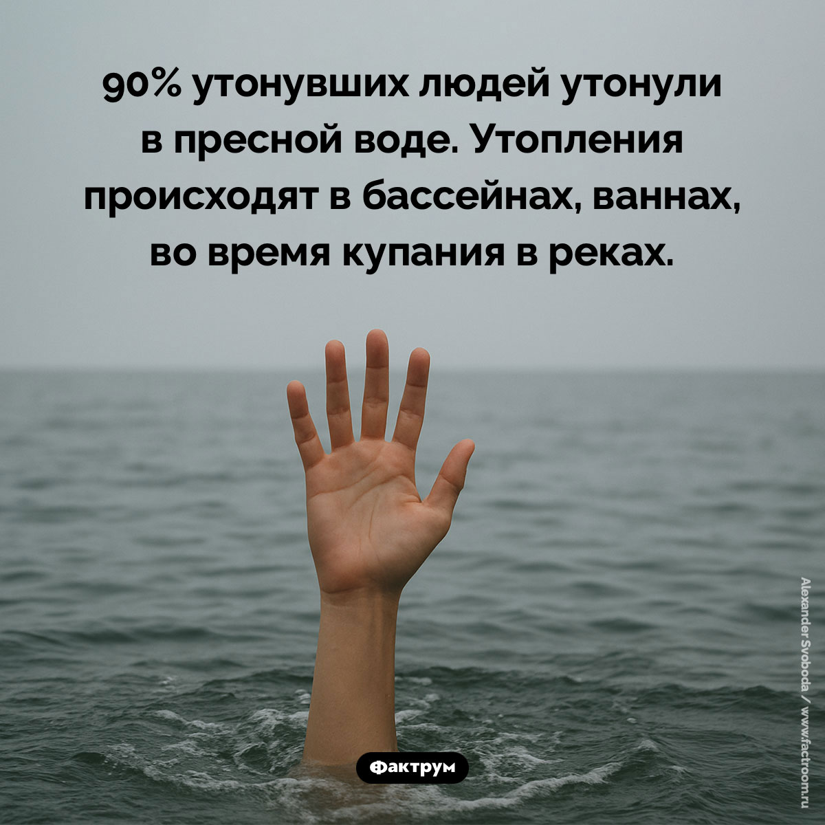Люди чаще тонут в пресной воде - свежие новости на Toplenta по теме Факты в картинках