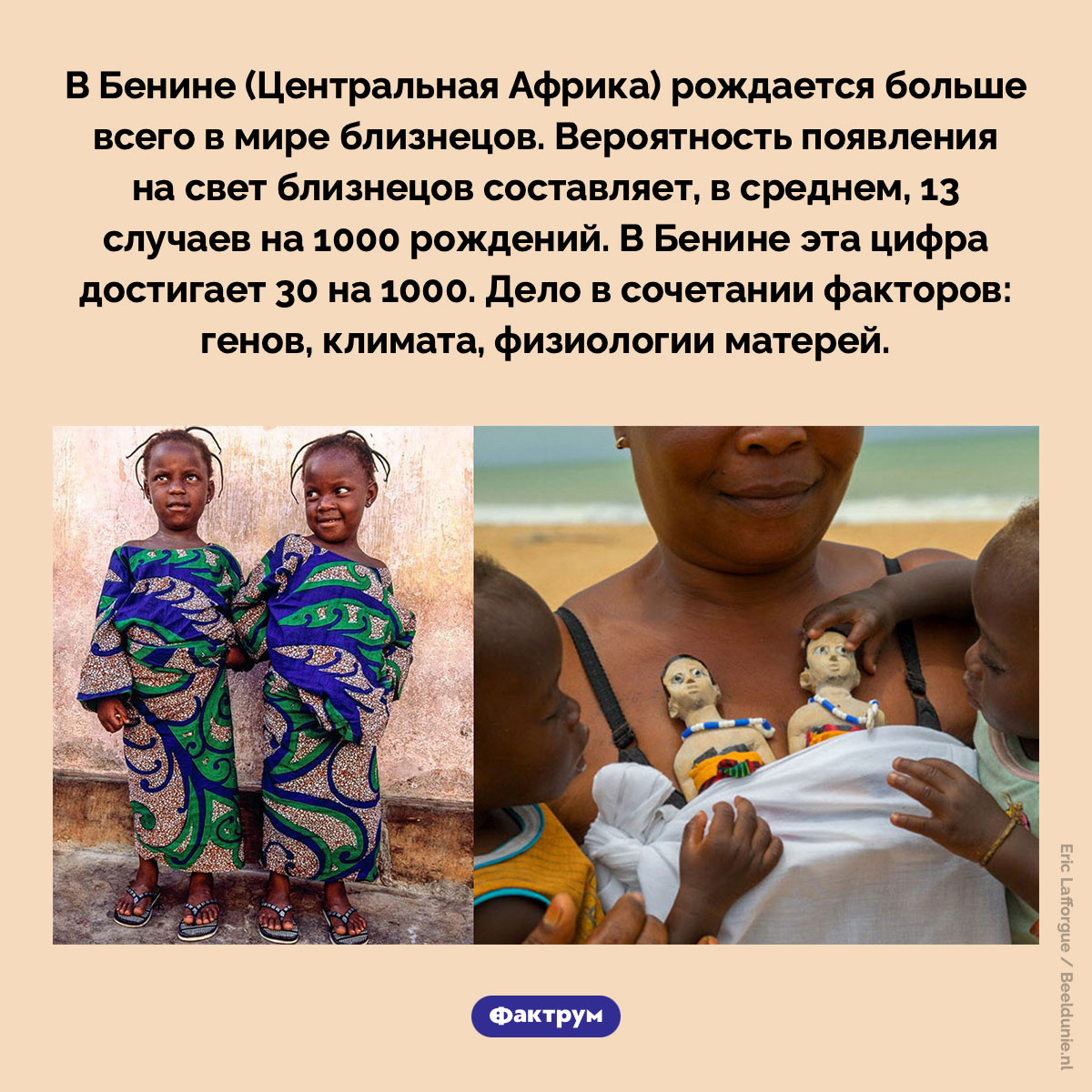 Близнецы в Бенине - свежие новости на Toplenta