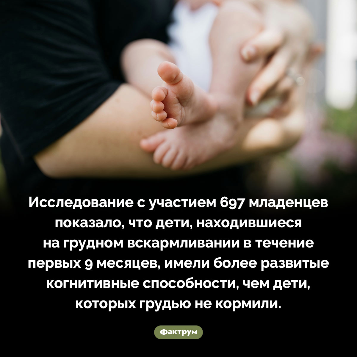 О важности грудного кормления - свежие новости на Toplenta по теме Чел