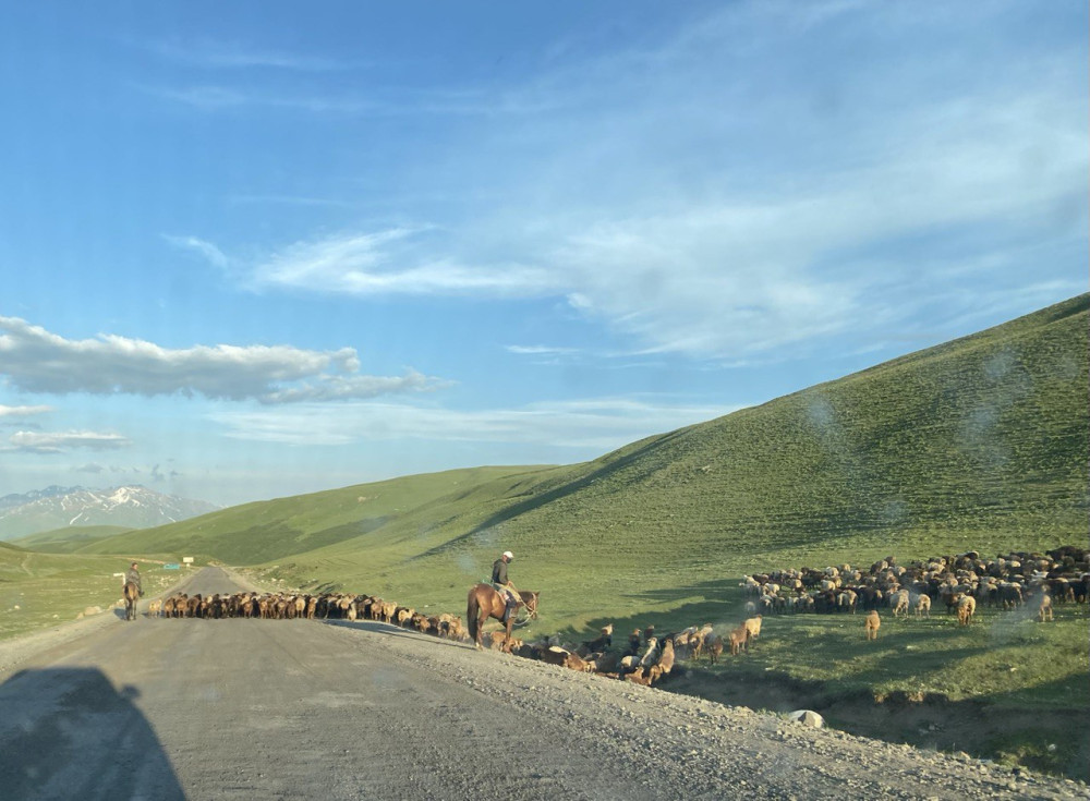 Про любовь жителей Киргизии к баранине - свежие новости на Toplenta по теме Киргизия