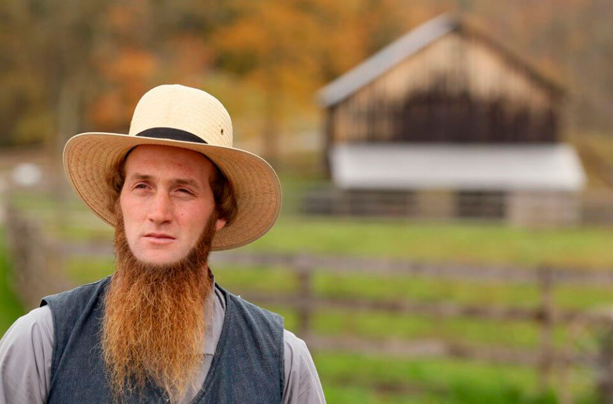 Амиши бреют усы за мир во всём мире - свежие новости на Toplenta по теме Все факты