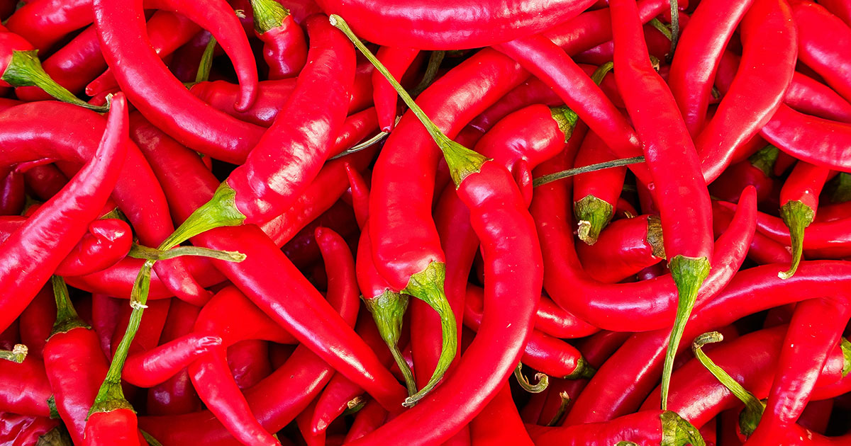 Что такое «доброкачественный мазохизм» - свежие новости на Toplenta по теме Психологи