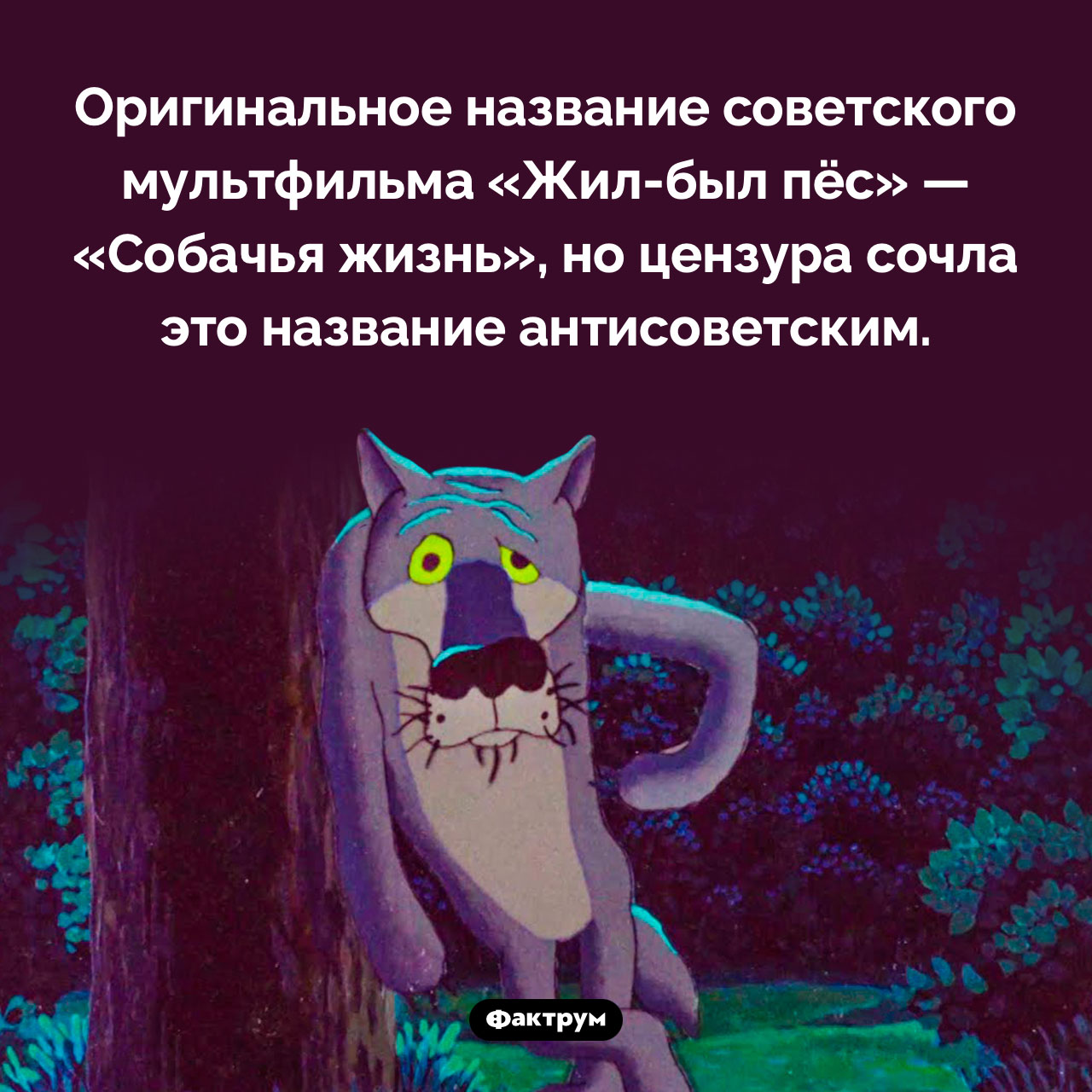 Собачья жизнь - свежие новости на Toplenta по теме По