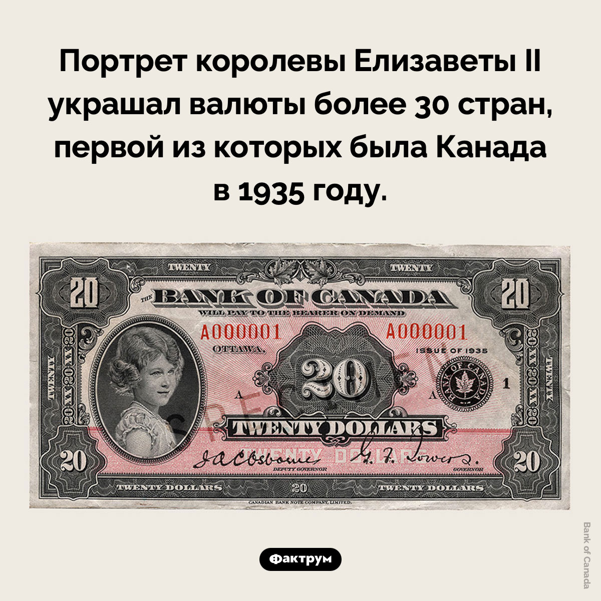 Валюты с портретом Елизаветы II - свежие новости на Toplenta по теме Елизавета ii