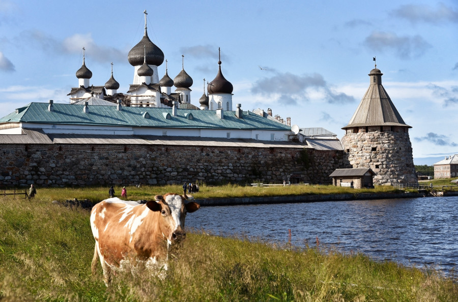О женщине-монахе - свежие новости на Toplenta по теме По