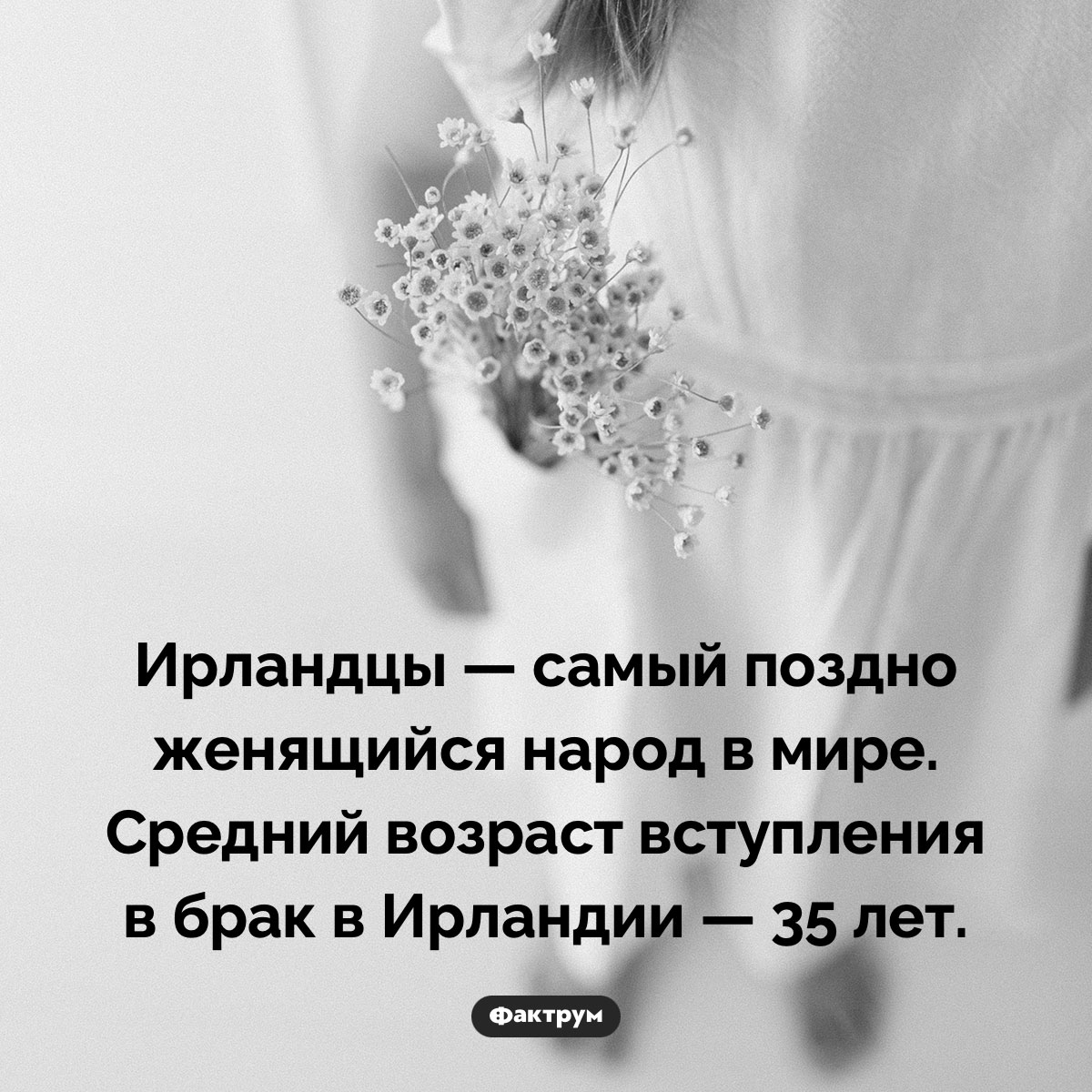 Ирландцы дольше всех тянут с женитьбой - свежие новости на Toplenta по теме 20.04.2024