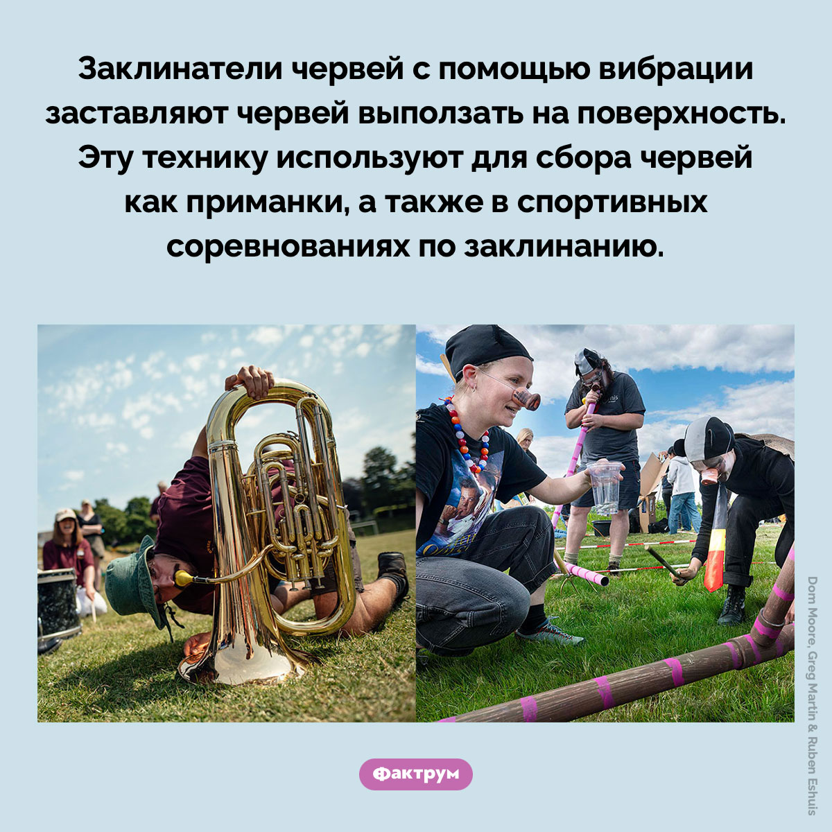 Заклинание червей - свежие новости на Toplenta по теме Рви