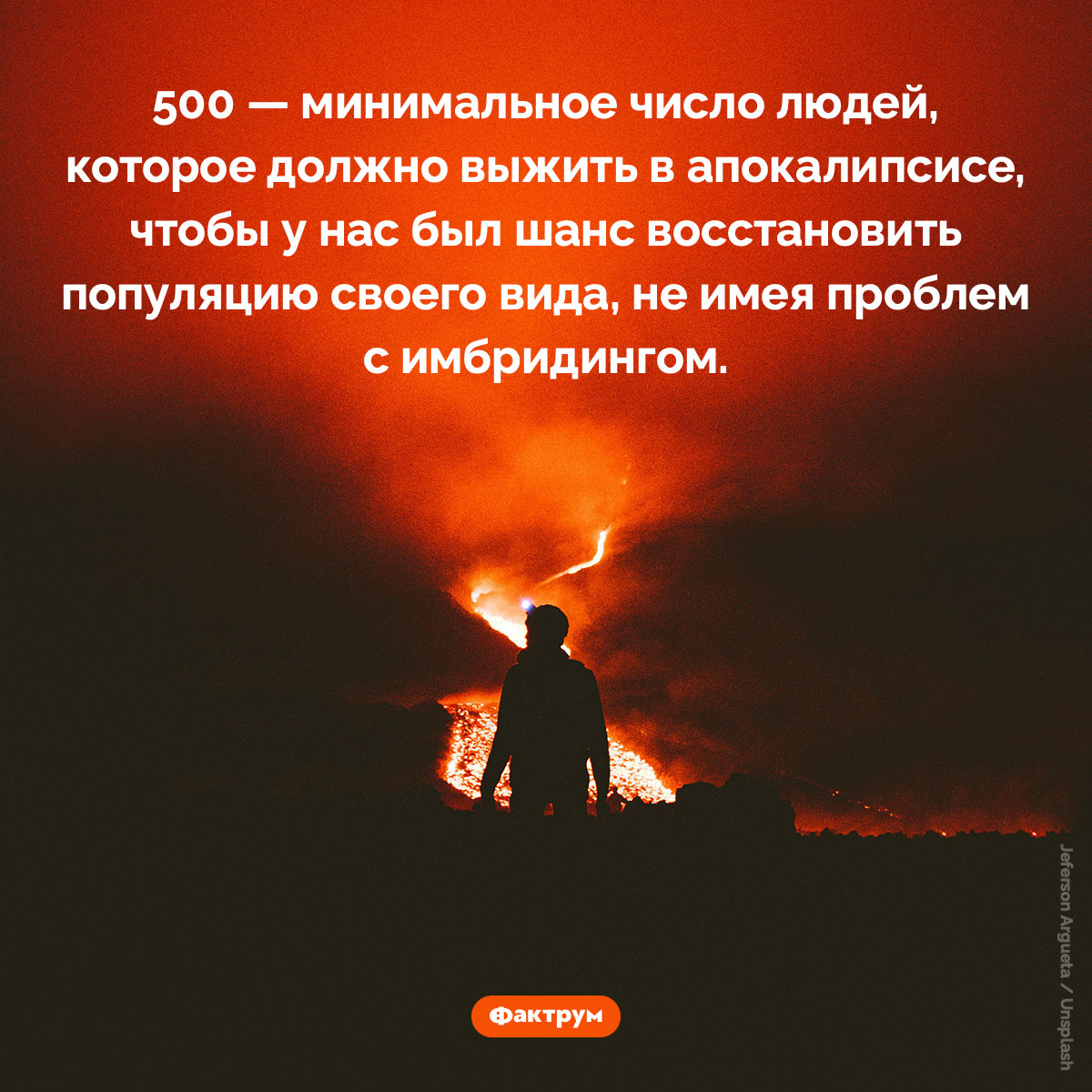 Сколько нужно людей, чтобы вновь заселить ими планету после апокалипсиса - свежие новости на Toplenta по теме Наук