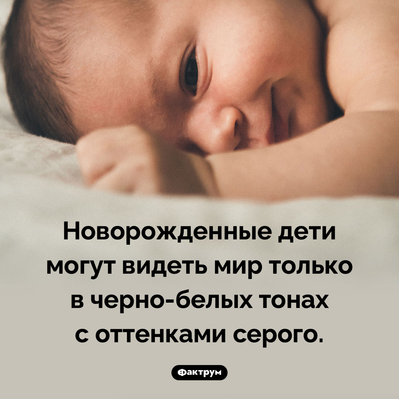 У новорожденных детей нет цветного зрения - свежие новости на Toplenta по теме 05.08.2025