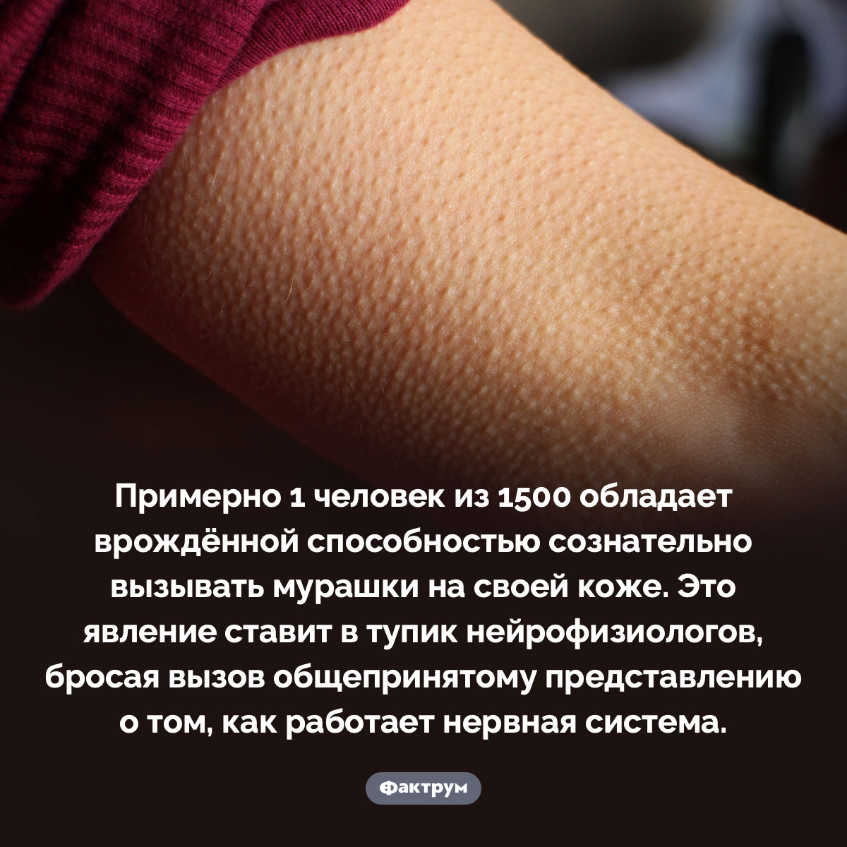 Некоторые люди способны по собственной воле вызывать у себя мурашки - свежие новости на Toplenta по теме Факты в картинках