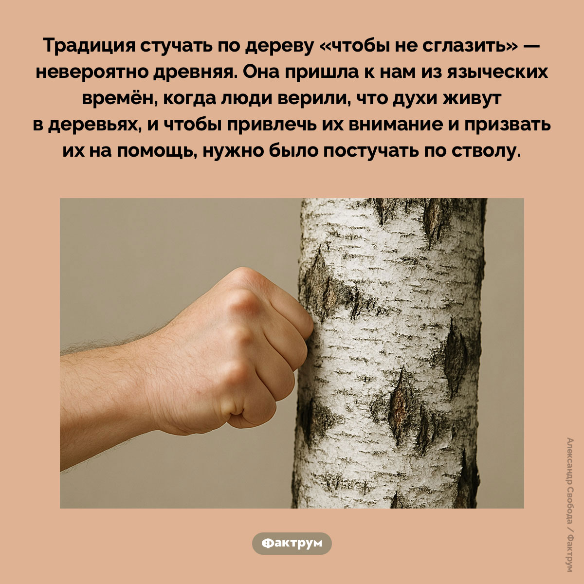 Откуда пошла традиция стучать по дереву - свежие новости на Toplenta по теме русь