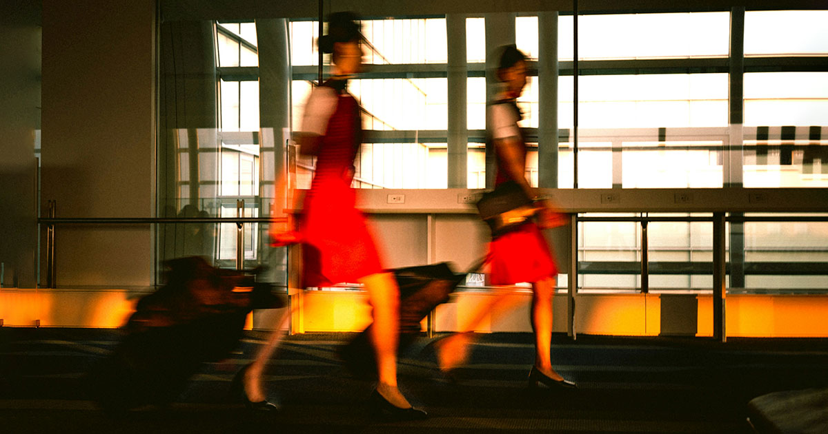 Бортпроводники — это не просто «небесные официанты - свежие новости на Toplenta