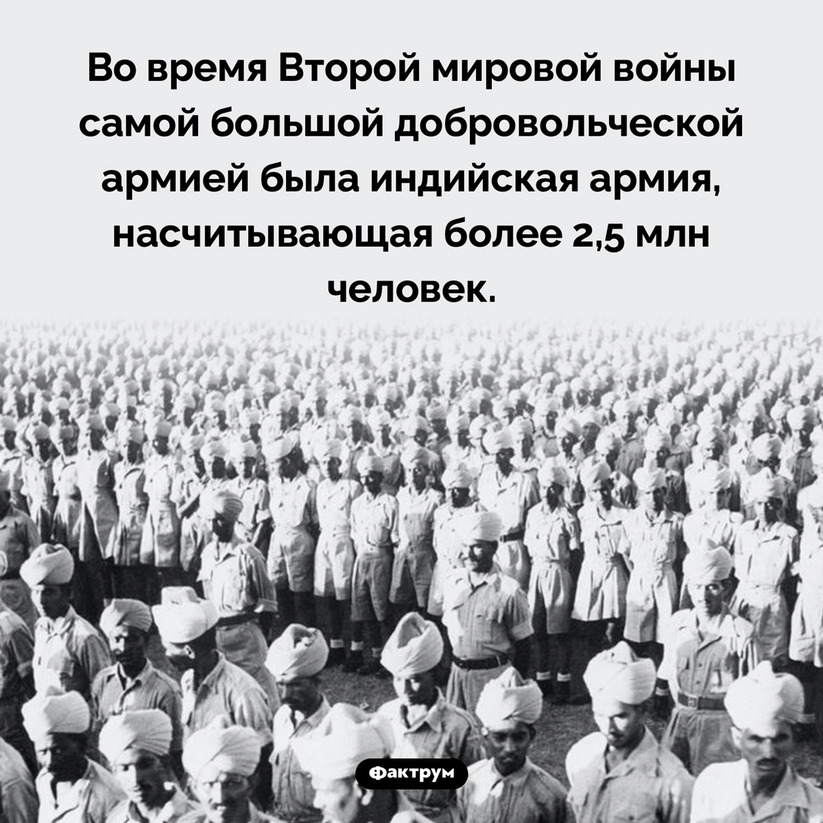 Самая большая добровольческая армия Второй мировой - свежие новости на Toplenta