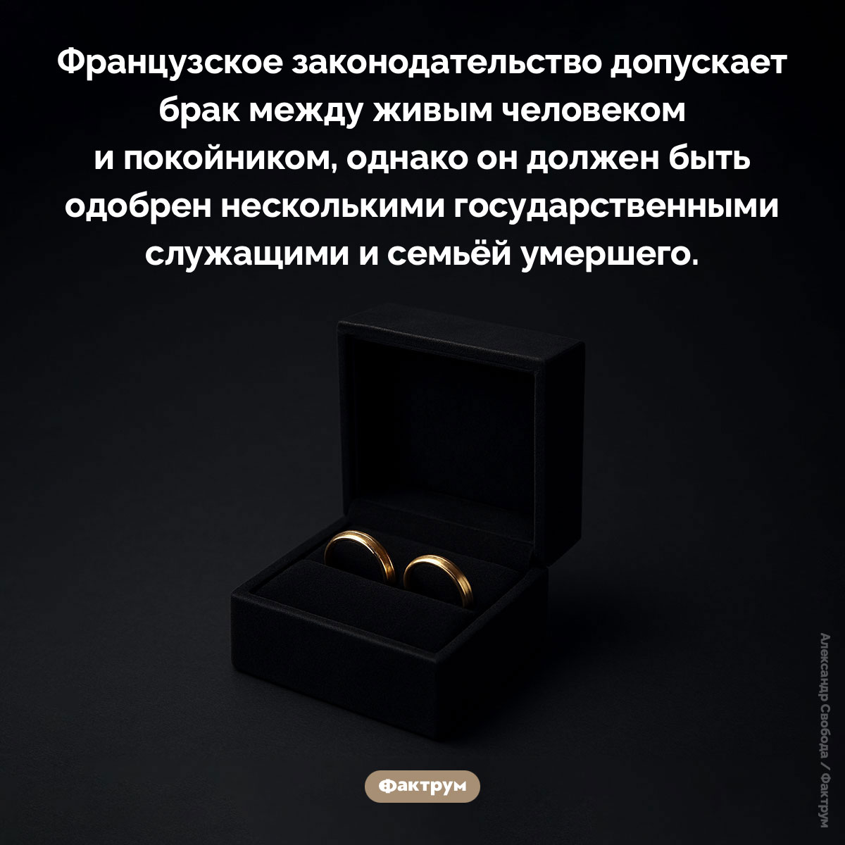 Во Франции до сих пор практикуются посмертные браки - свежие новости на Toplenta по теме законы