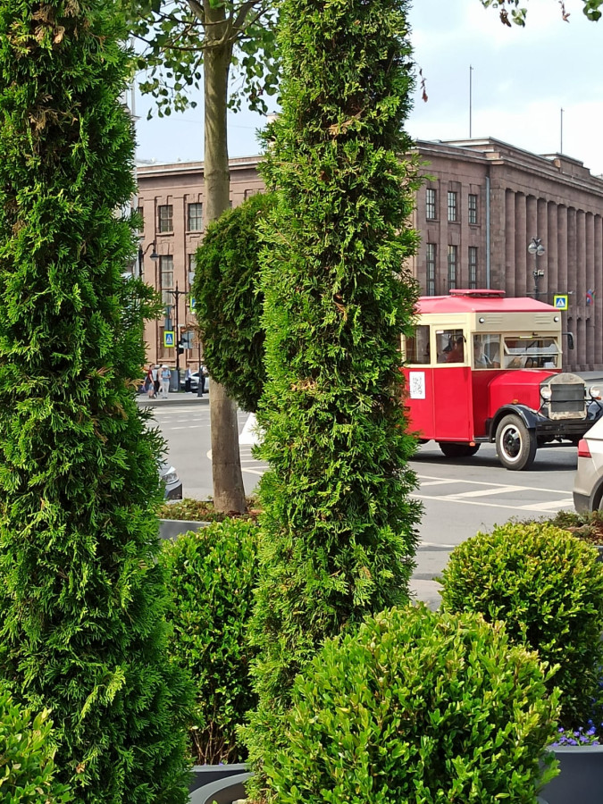 Наступает бабье лето в Петербурге - свежие новости на Toplenta
