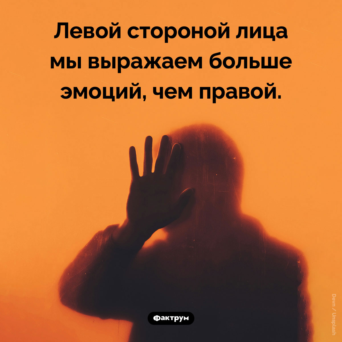 Слева больше эмоций - свежие новости на Toplenta по теме ств