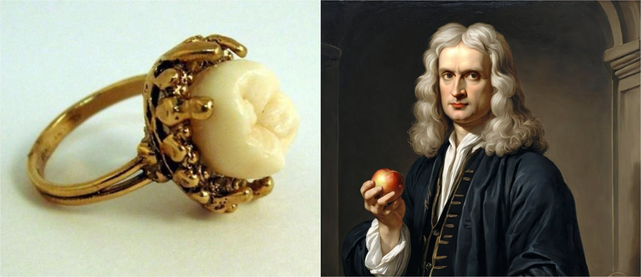 Зуб Ньютона вставили в кольцо — теперь он стоит 62 000 долларов - свежие новости на Toplenta по теме Интерес