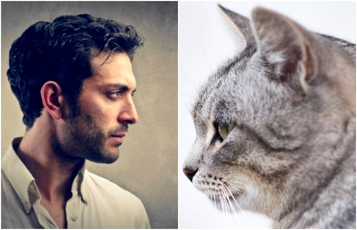 Зачем нам копчик, или 6 частей человеческого тела, которые утратили функциональность - свежие новости на Toplenta