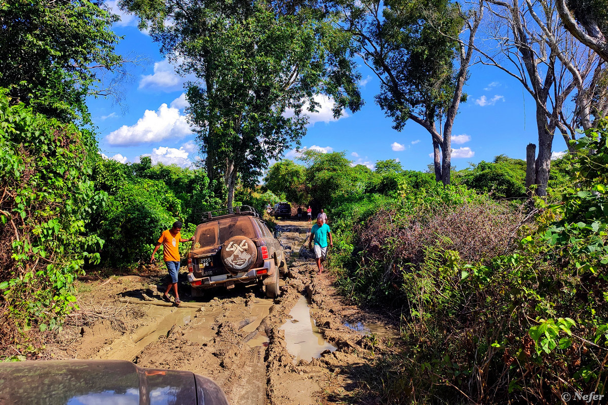 Мадагаскар: каменный лес Цинги, знаменитый и труднодоступный - свежие новости на Toplenta