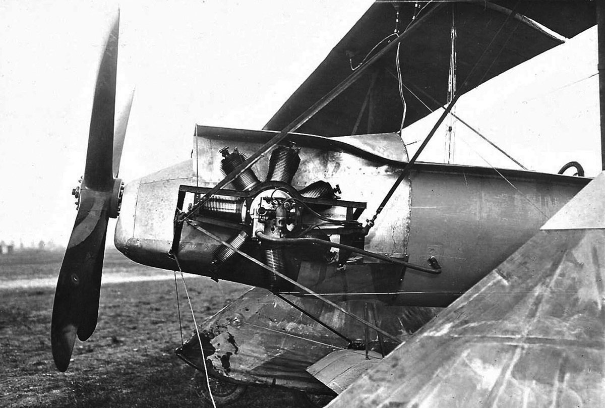 Румын в клешах - похожая новость на Toplenta